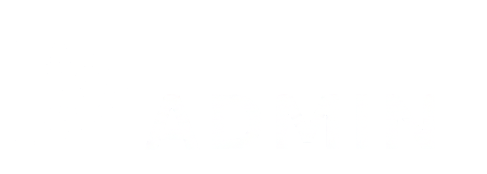 branding logo